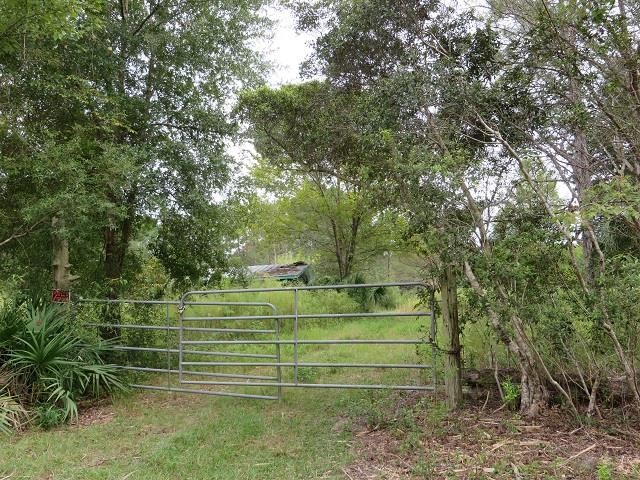 Tired of large cities, move to the country, 38.56 acres of - Beach Acreage for sale in Carabelle, Florida on Beachhouse.com