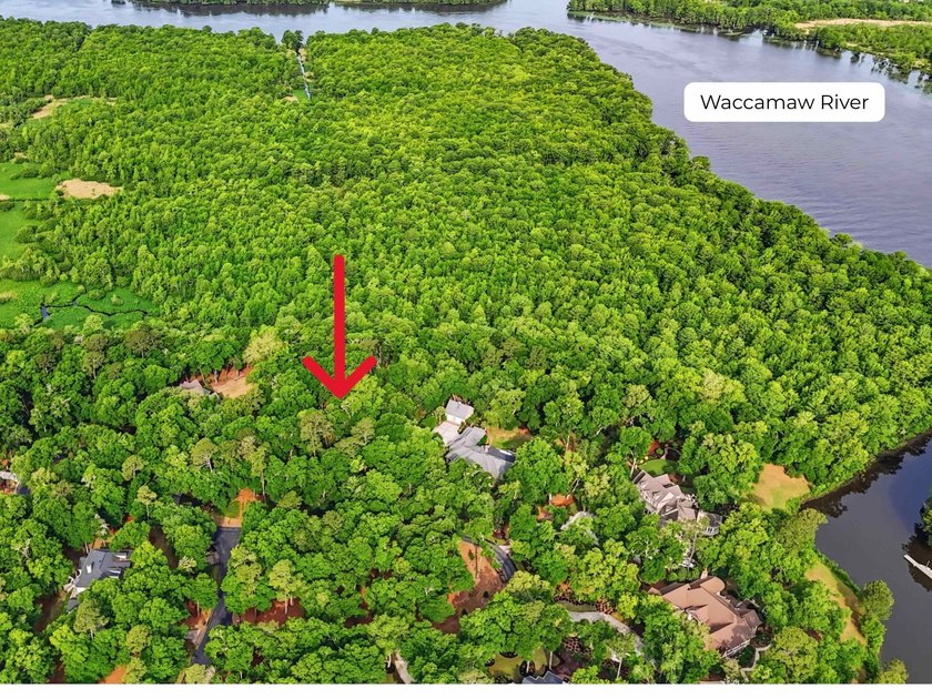 Discover the perfect setting to build your dream home at 116 - Beach Lot for sale in Pawleys Island, South Carolina on Beachhouse.com