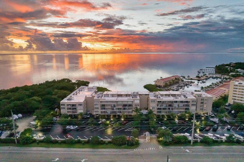 Welcome to your dream retreat at Summer Seas, where island - Beach Condo for sale in Plantation Key, Florida on Beachhouse.com