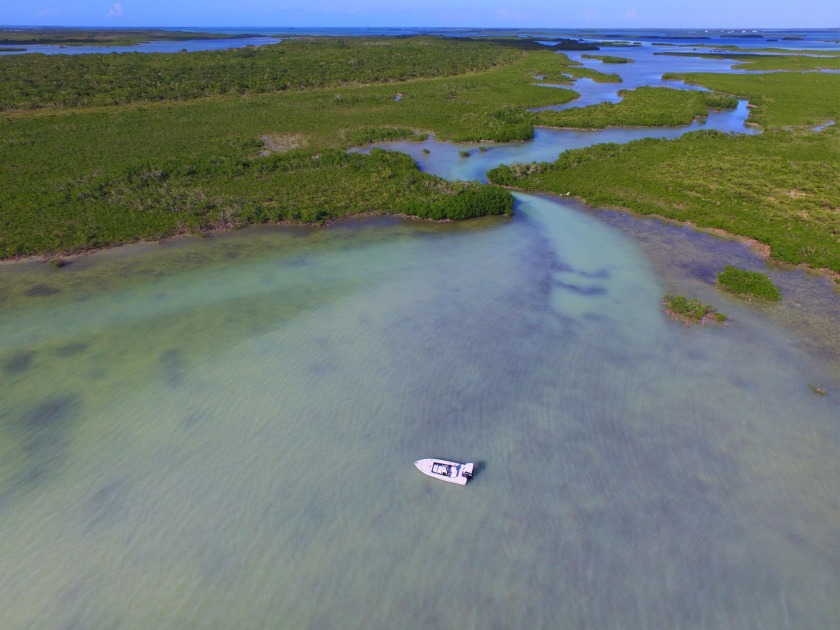 Adventure offshore island 4 acre lot in the heart of the Great - Beach Lot for sale in Summerland Key, Florida on Beachhouse.com