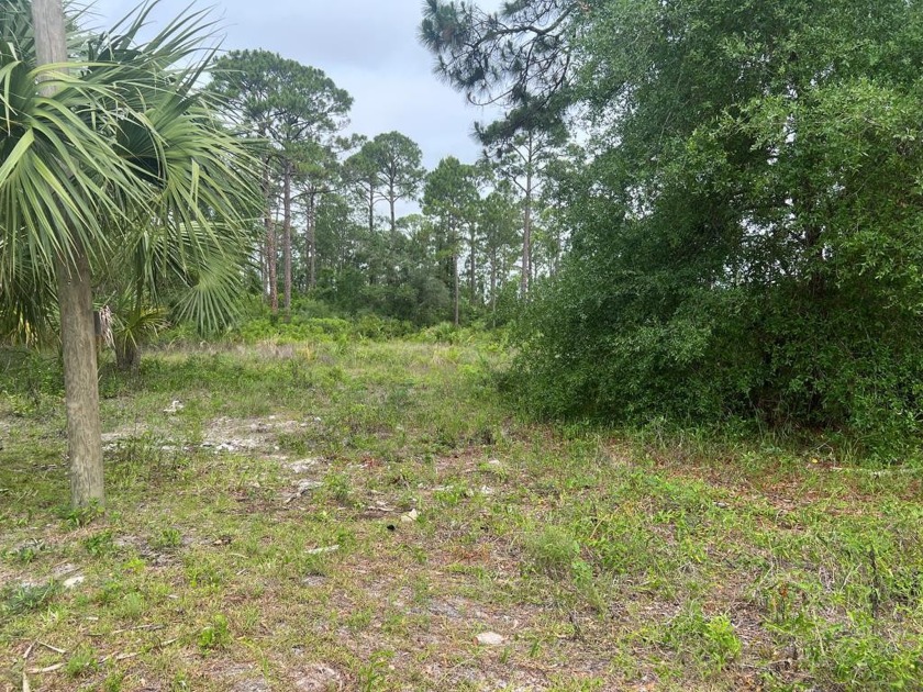 JUST REDUCED TO SELL!!!!!  2 Beautiful lots in the coveted - Beach Lot for sale in Carabelle, Florida on Beachhouse.com