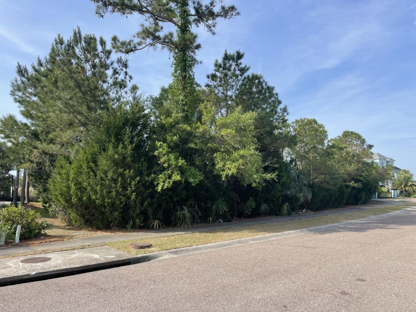 THE ONLY AND LARGEST LOT AVAILABLE IN PARKERS LANDING! A QUIET - Beach Lot for sale in Mount Pleasant, South Carolina on Beachhouse.com