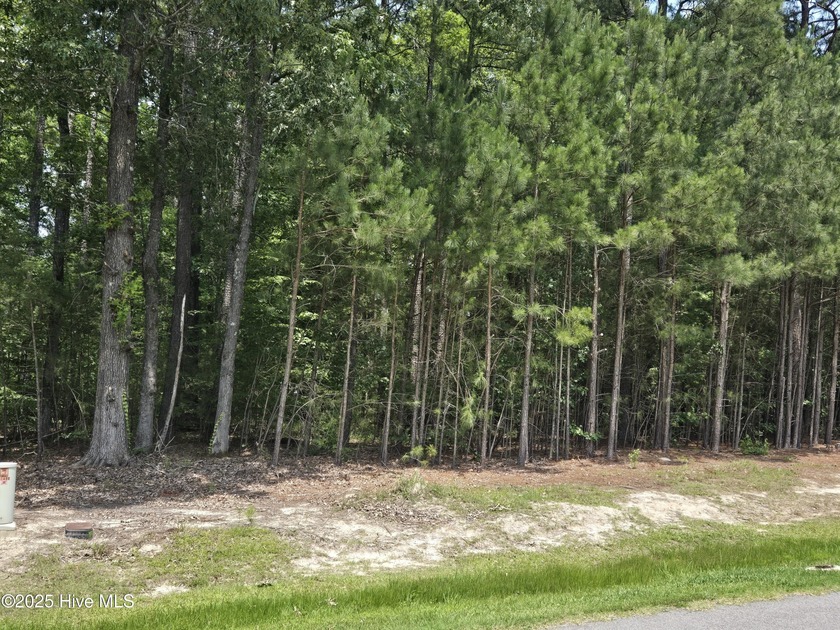 Don't miss out on this awesome just under half acre wooded - Beach Lot for sale in Hertford, North Carolina on Beachhouse.com