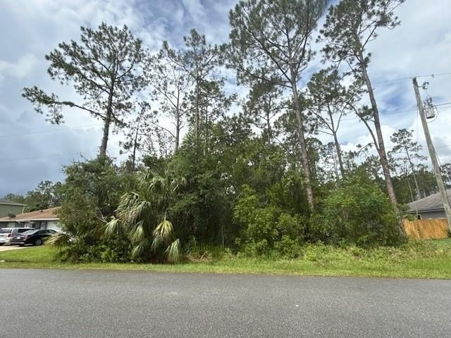 Discover the perfect spot to build your dream home on this - Beach Lot for sale in Palm Coast, Florida on Beachhouse.com