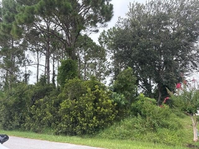 Build your dream home on this beautiful wooded lot located at 69 - Beach Lot for sale in Palm Coast, Florida on Beachhouse.com