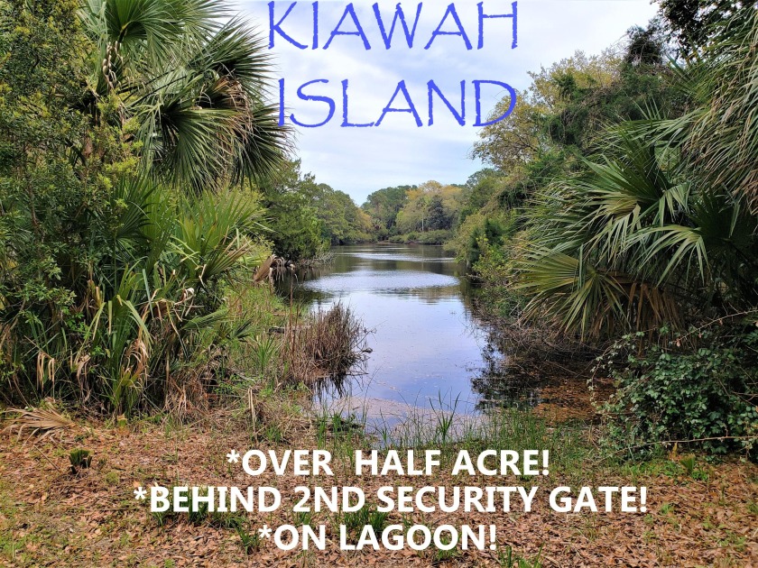 ***NEW ***NEW***NEW!!!***  ***ATTENTION!!!***KIAWAH ISLAND *** - Beach Lot for sale in Kiawah Island, South Carolina on Beachhouse.com