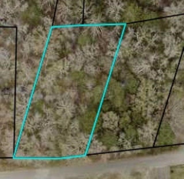 LISTING AGENT IS OWNER | TAX SALE PROPERTY  Value-Priced - Beach Lot for sale in Pawleys Island, South Carolina on Beachhouse.com