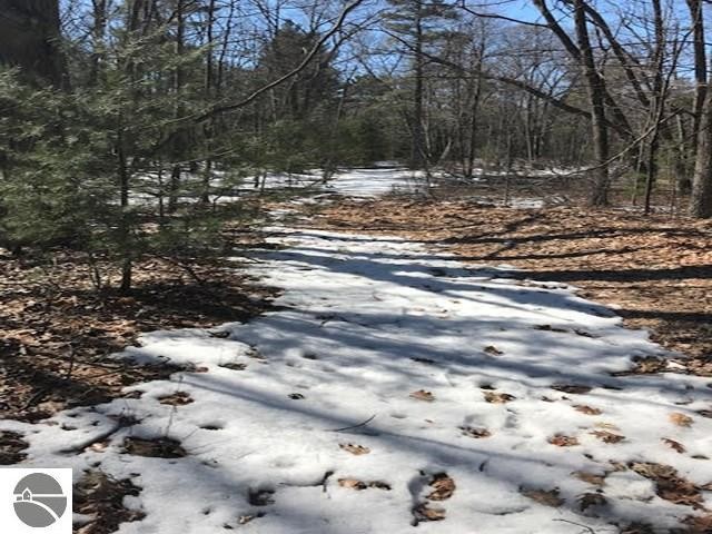 Walking distance to Lake Huron Access, this almost an acre lot - Beach Lot for sale in Au Gres, Michigan on Beachhouse.com