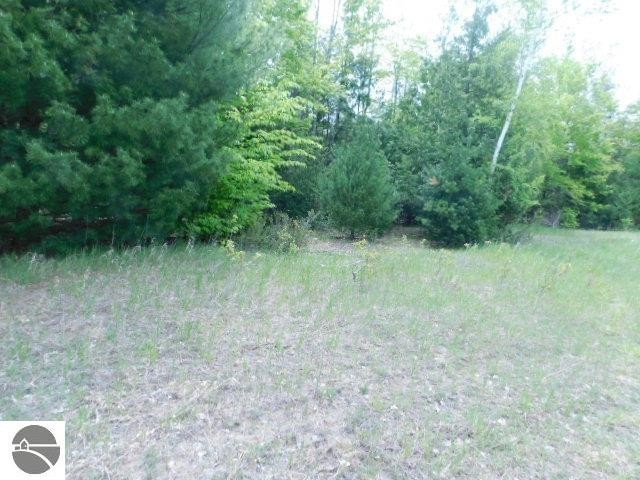 A ~9-acre parcel with ~253' of Shetland Creek frontage.  An open - Beach Acreage for sale in Maple City, Michigan on Beachhouse.com