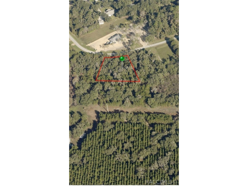 THE PERFECT LOCATION FOR YOUR DREAM HOME!  This acre is high - Beach Lot for sale in Crystal River, Florida on Beachhouse.com