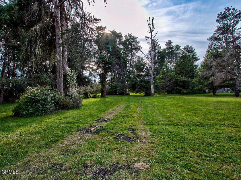 Build your dream home--or two--on this level, 2-acre - Beach Acreage for sale in Fort Bragg, California on Beachhouse.com