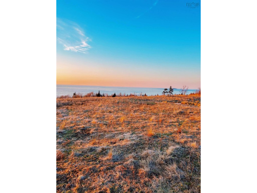 The idyllic atmosphere, sweeping ocean views, and natural - Beach Lot for sale in Inverness,  on Beachhouse.com