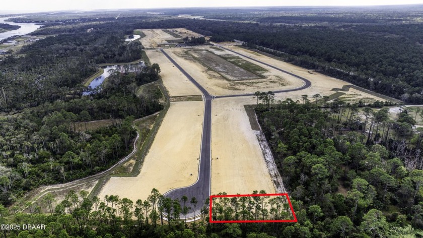 Gorgeous, Over-sized, lot at the end of a quiet cul-de-sac in - Beach Lot for sale in Flagler Beach, Florida on Beachhouse.com