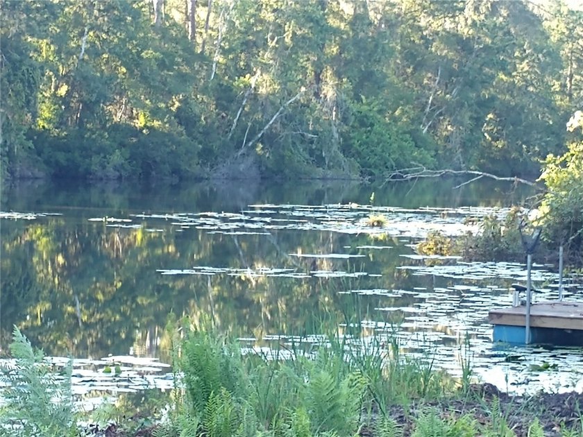 WATERFRONT BUILD OPPORTUNITY - RARE LAND O' LAKES FIND!

Rare - Beach Lot for sale in Land O Lakes, Florida on Beachhouse.com