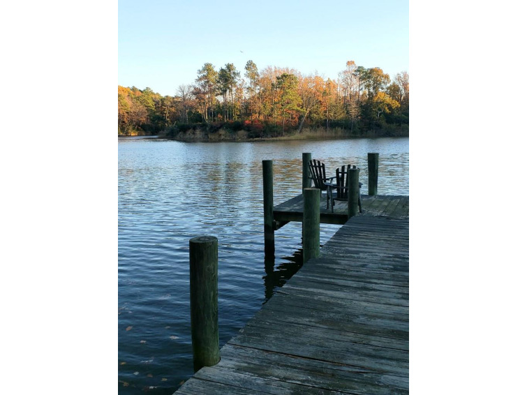 Wooded & private 1+ acre waterfront parcel with a pier !  In a - Beach Lot for sale in Heathsville, Virginia on Beachhouse.com