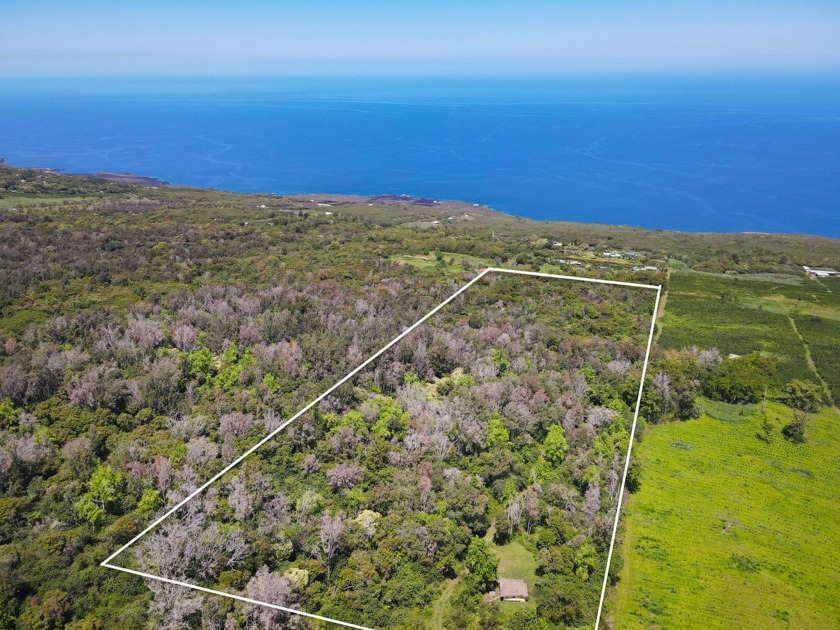 This special 34.66 acre lushly, wooded parcel with its beautiful - Beach Acreage for sale in Captain Cook, Hawaii on Beachhouse.com