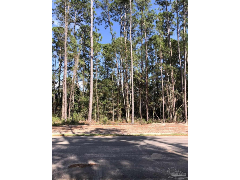 LOT LOCATED IN AREA WITH PUBLIC WATER AND PUBLIC SEWER, NEW - Beach Lot for sale in Navarre, Florida on Beachhouse.com
