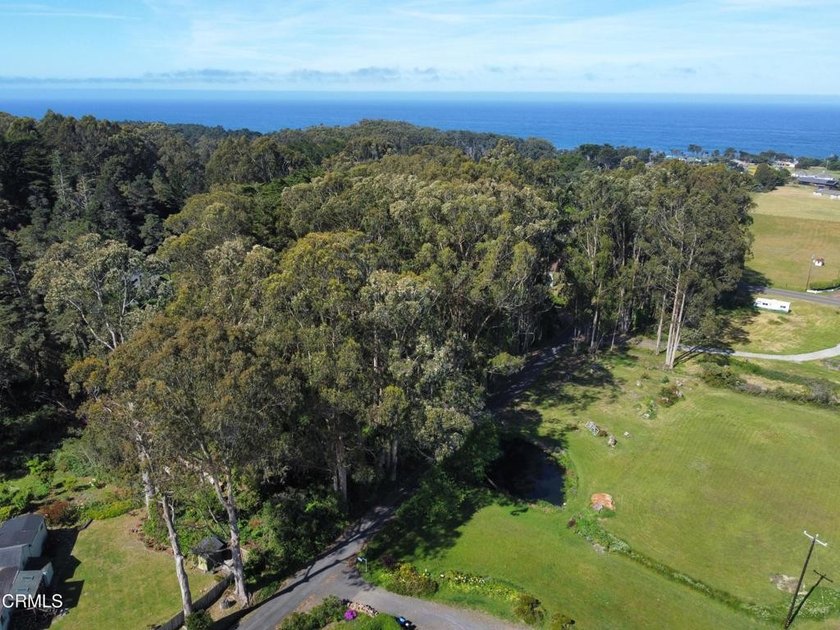Two gently sloping wooded parcels totaling 0.77 acre within the - Beach Lot for sale in Fort Bragg, California on Beachhouse.com