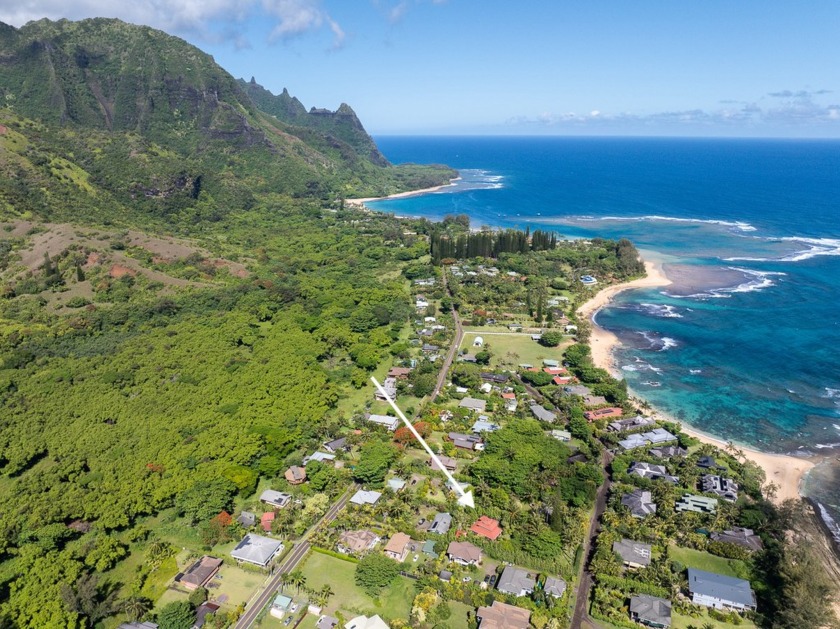 Step back in time and experience this unique, colorful - Beach Home for sale in Hanalei, Hawaii on Beachhouse.com