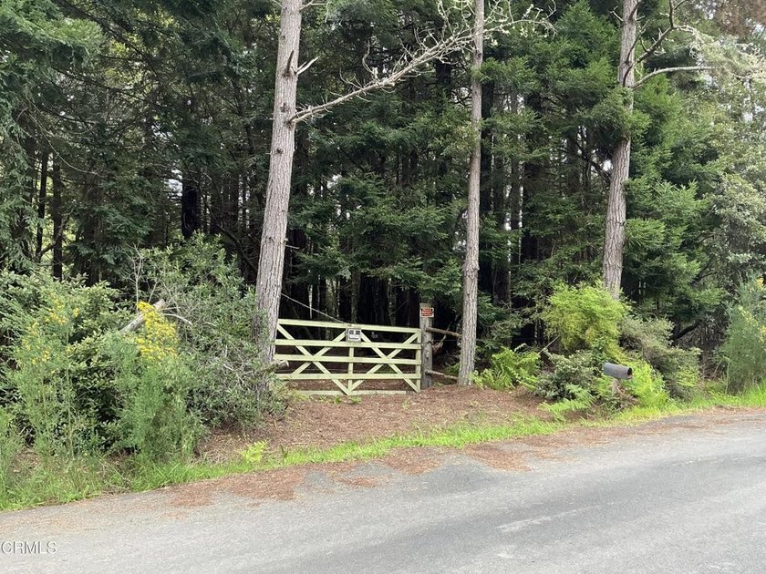 This untouched, natural gem is ready for your plans for your - Beach Lot for sale in Fort Bragg, California on Beachhouse.com