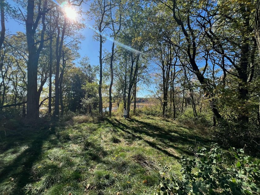 Beautiful 40 acres ready to build on. Gated property. Plenty of - Beach Acreage for sale in Pentwater, Michigan on Beachhouse.com