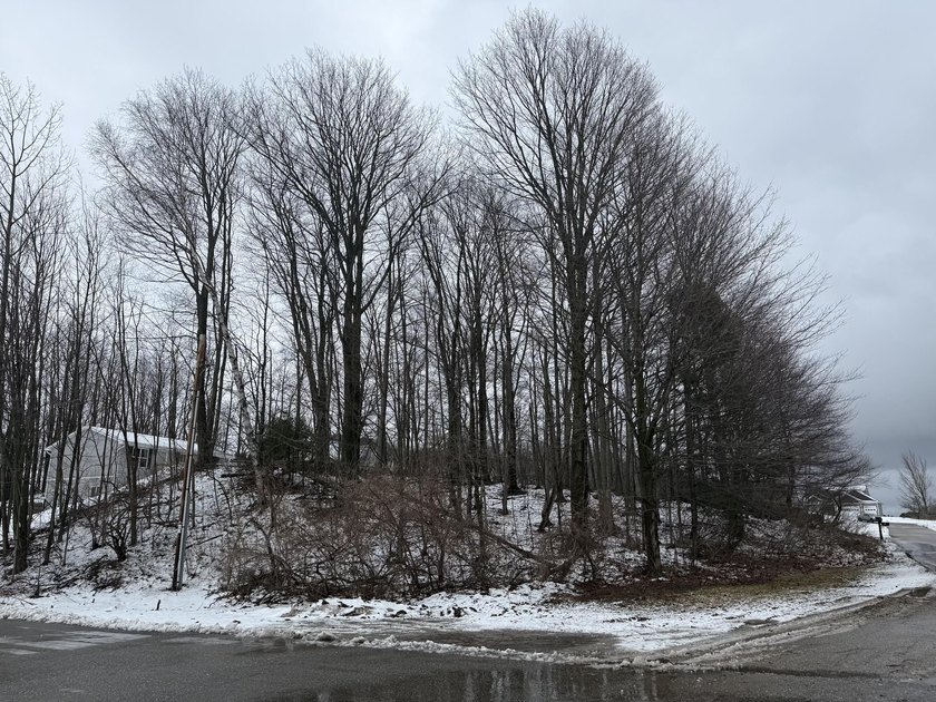 Build your dream home on this desirable 100' x 150' lot in Pere - Beach Lot for sale in Ludington, Michigan on Beachhouse.com