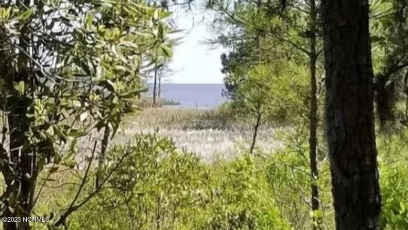 Wow! 5.27 acre lot on Raymons Creek empties into the Pasquotank - Beach Acreage for sale in Shiloh, North Carolina on Beachhouse.com