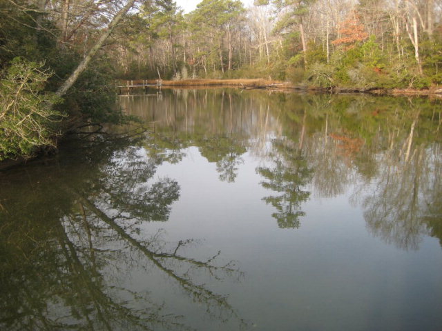 Large, W/F lot. MLW 3 feet, buyer to verify. Excellent - Beach Lot for sale in Wicomico Church, Virginia on Beachhouse.com