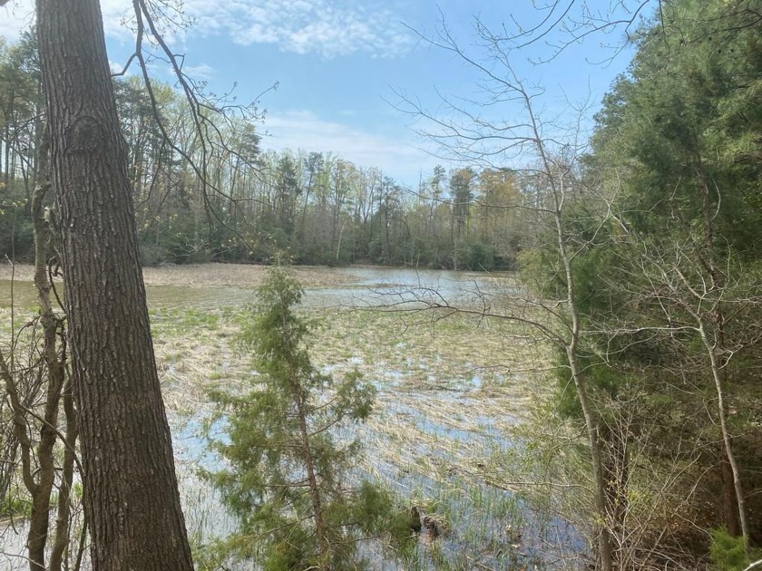 29.82 ACRES WITH NO RESTRICTIONS!  IF YOU ARE LOOKING FOR A - Beach Lot for sale in Lancaster, Virginia on Beachhouse.com