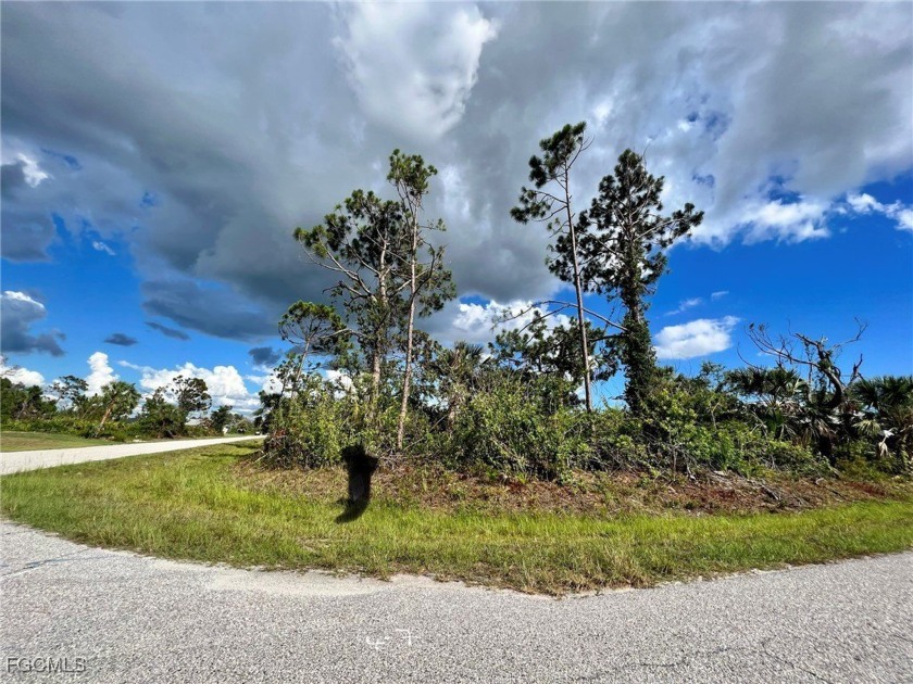 Beautifull lot offers a unique opportunity to build the home of - Beach Lot for sale in Port Charlotte, Florida on Beachhouse.com