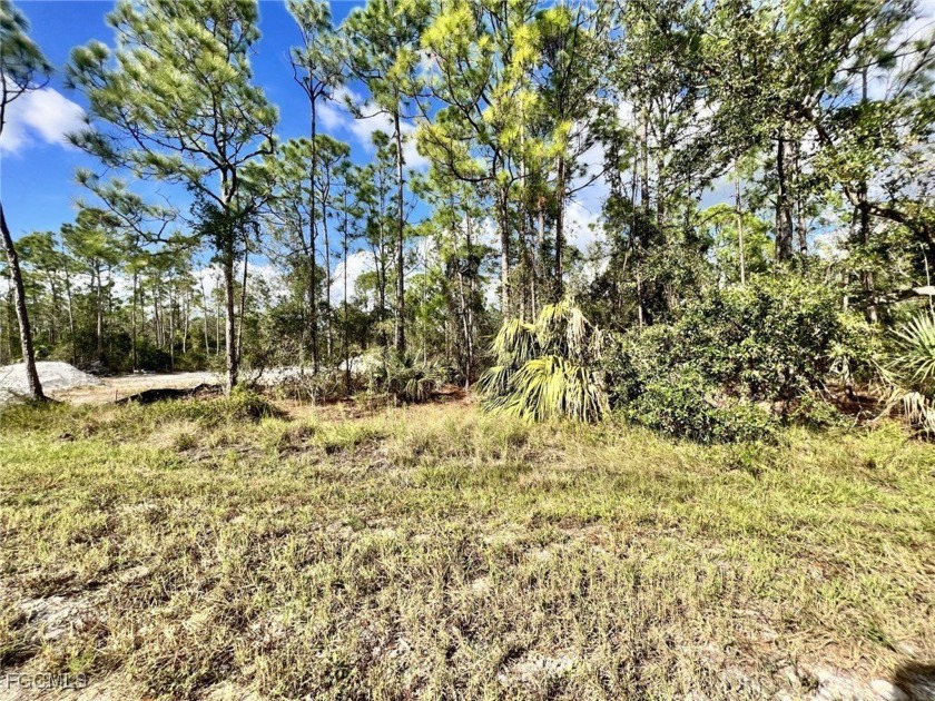 Very nice northern rear exposure lot in beautiful Tropical Gulf - Beach Lot for sale in Punta Gorda, Florida on Beachhouse.com