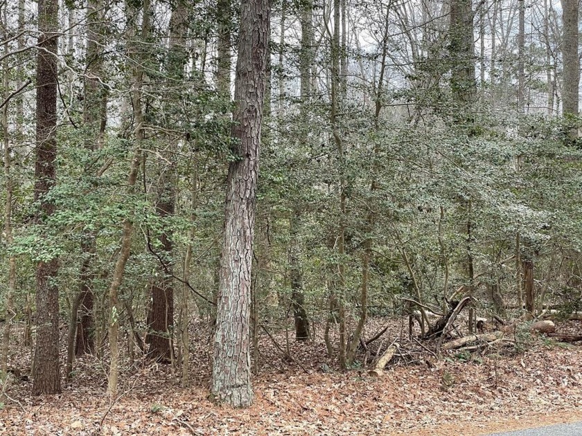 Nice 3.15 acre parcel in Rivers Knoll community with access to - Beach Lot for sale in Heathsville, Virginia on Beachhouse.com