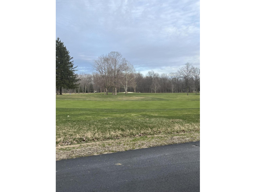 RARE BUILDABLE HOME SITE! Nestled on the exclusive Point O Woods - Beach Lot for sale in Benton Harbor, Michigan on Beachhouse.com