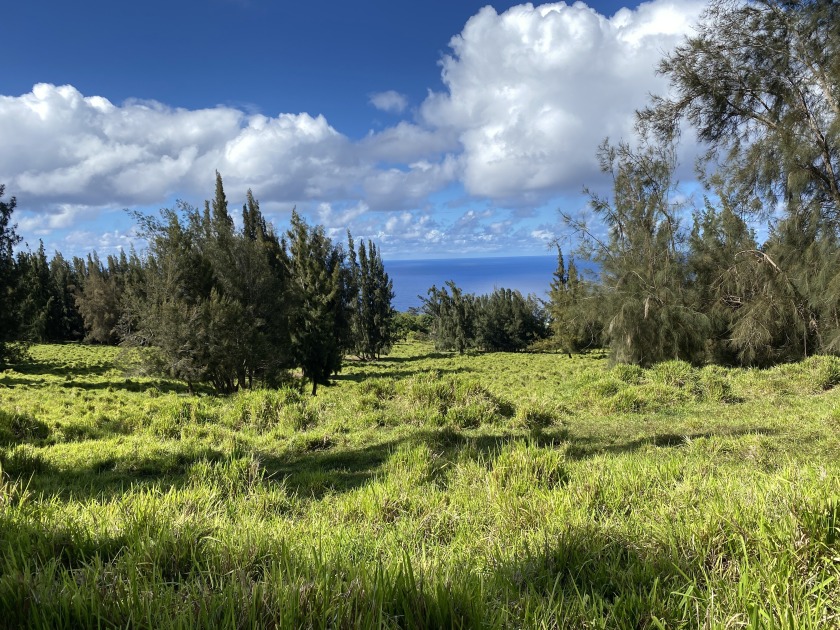 Wonderful location!!Beautiful, serene, and peaceful, the - Beach Acreage for sale in Honokaa, Hawaii on Beachhouse.com