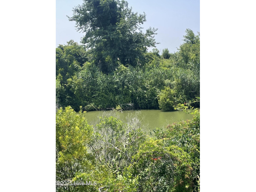 PRICED BELOW MARKET VALUE.. Located in a Breathtaking WATERFRONT - Beach Acreage for sale in Hertford, North Carolina on Beachhouse.com