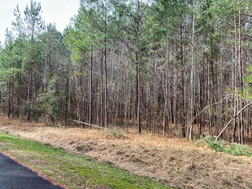 PRIVATE, WOODED LOT ON THE OUTSKIRTS OF THE TOWN OF KILMARNOCK - Beach Lot for sale in Kilmarnock, Virginia on Beachhouse.com