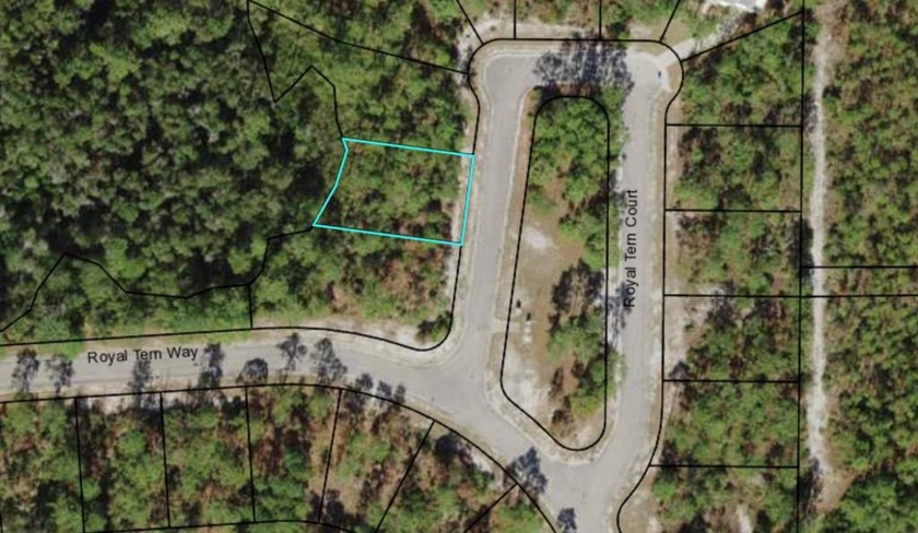 Imagine building your coastal getaway in beautiful St. James Bay - Beach Lot for sale in Carabelle, Florida on Beachhouse.com