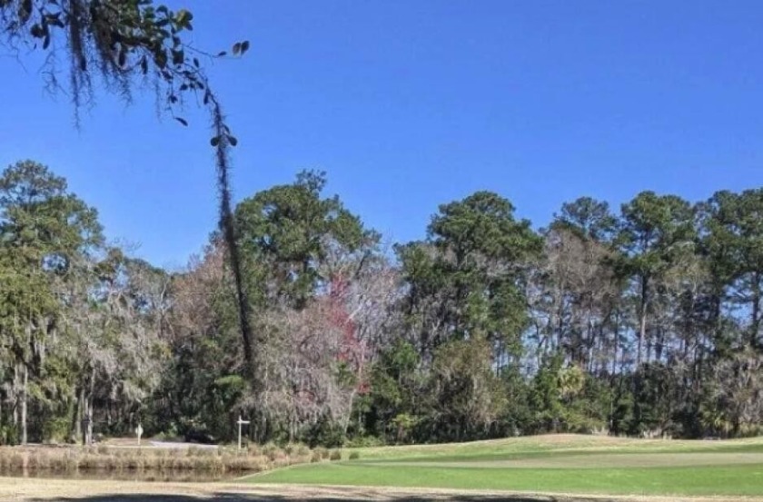 This acre residential lot in Callawassie Island is situated at - Beach Lot for sale in Okatie, South Carolina on Beachhouse.com