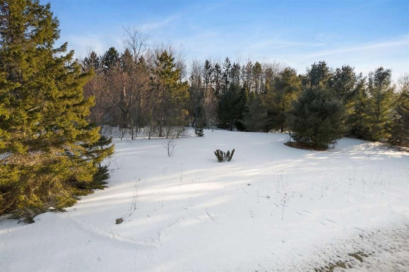 Experience the essence of Northern Michigan living with this - Beach Lot for sale in Harbor Springs, Michigan on Beachhouse.com