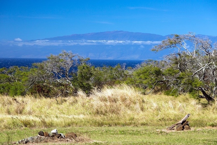 This width of this amazing property has one of the best - Beach Acreage for sale in Hawi, Hawaii on Beachhouse.com