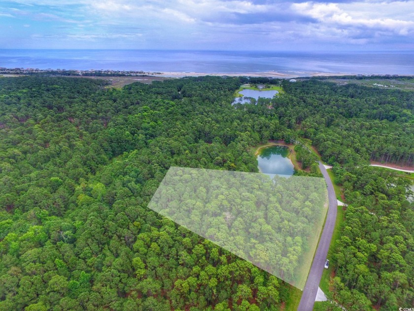 This lovely treed lot is on the Oceanside of Prince George. Just - Beach Lot for sale in Pawleys Island, South Carolina on Beachhouse.com