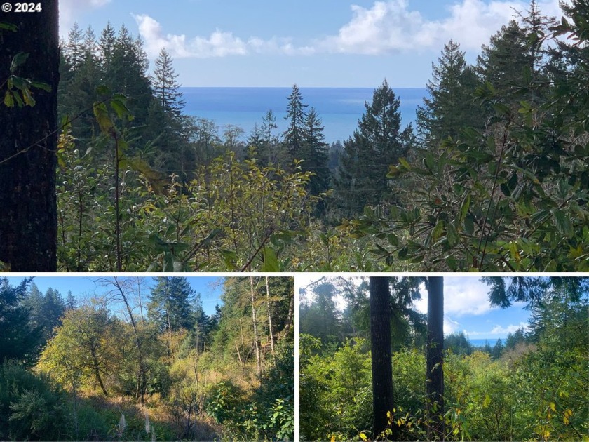 Here is a blank, 11 acre canvas for your dream home with - Beach Acreage for sale in Brookings, Oregon on Beachhouse.com