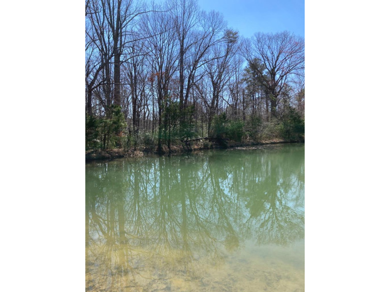 Beautiful pond front lot in community with loads of amenities - Beach Lot for sale in Heathsville, Virginia on Beachhouse.com
