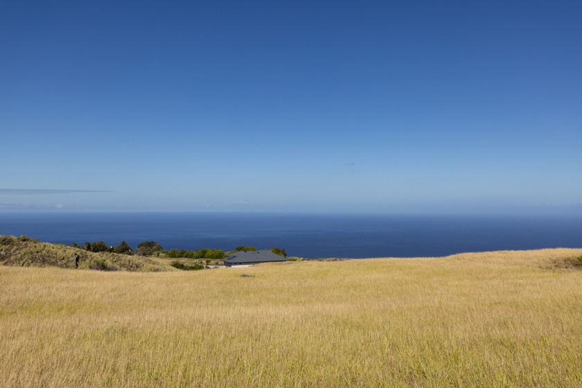 This prime 5-acre lot in the Meadows II section of Kohala Ranch - Beach Acreage for sale in Kamuela, Hawaii on Beachhouse.com