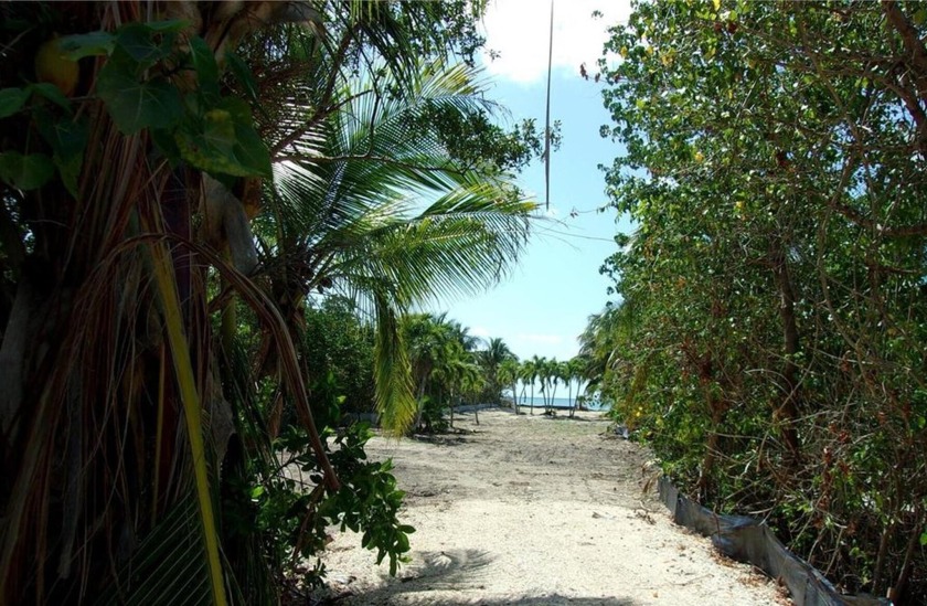 TWO Building Rights on this multi-family property in Grassy Key - Beach Lot for sale in Marathon, Florida on Beachhouse.com