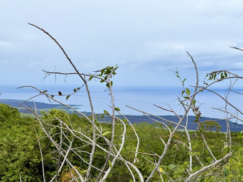 Gorgeous 16 acre lot at the end of Ohana Rd. Fabulous ocean and - Beach Acreage for sale in Captain Cook, Hawaii on Beachhouse.com