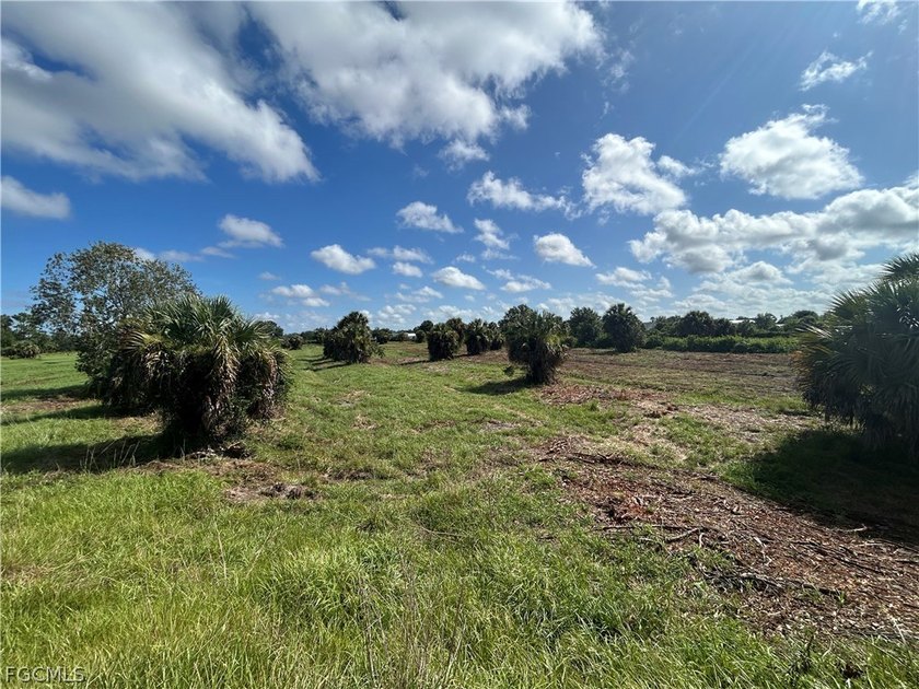 Discover the perfect opportunity to own 2.5 acres of land in - Beach Acreage for sale in Punta Gorda, Florida on Beachhouse.com