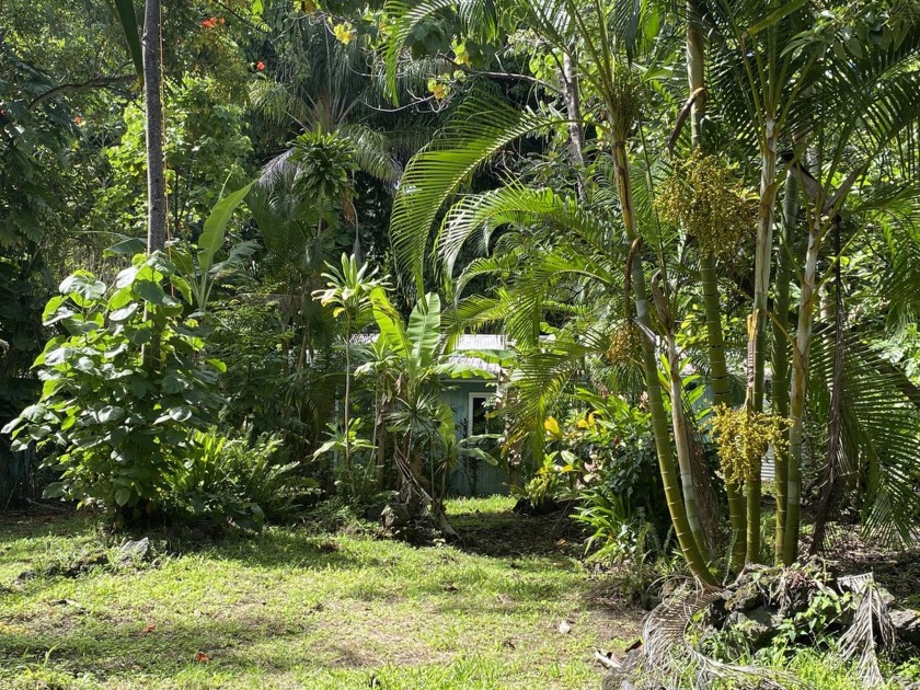 Rarely availabe cedar/redwood beach cottage just off the scenic - Beach Home for sale in Pahoa, Hawaii on Beachhouse.com