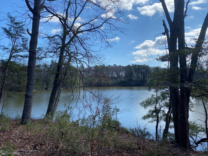 LONG WATER FRONTAGE ON PRESLEY CREEK - 2+ ACRE LOT - NO HOA OR - Beach Lot for sale in Heathsville, Virginia on Beachhouse.com