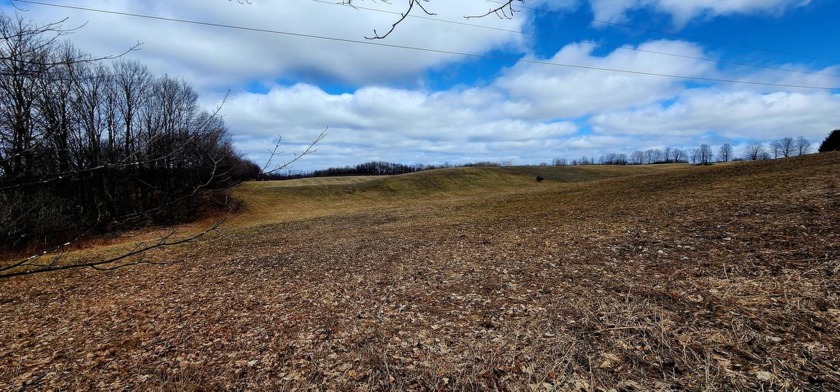 Country living less than 10 minutes from town. Savor the - Beach Acreage for sale in Shelby, Michigan on Beachhouse.com